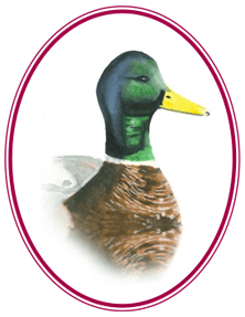 Mallard Insurance - Logo Icon